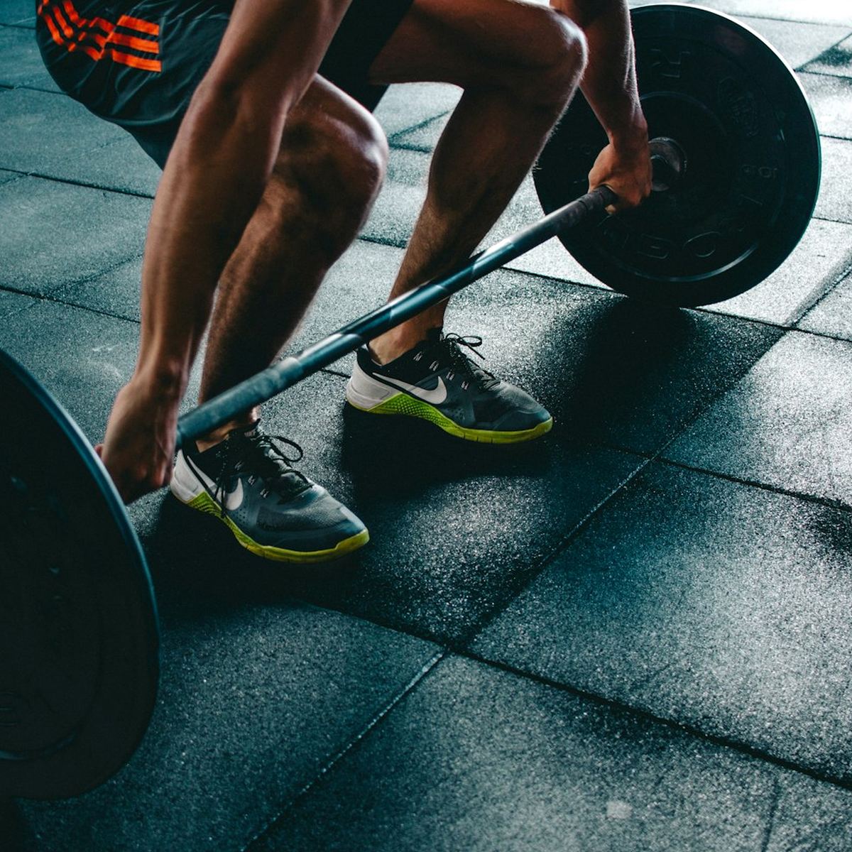 Alarmedvisor Fitness Hub